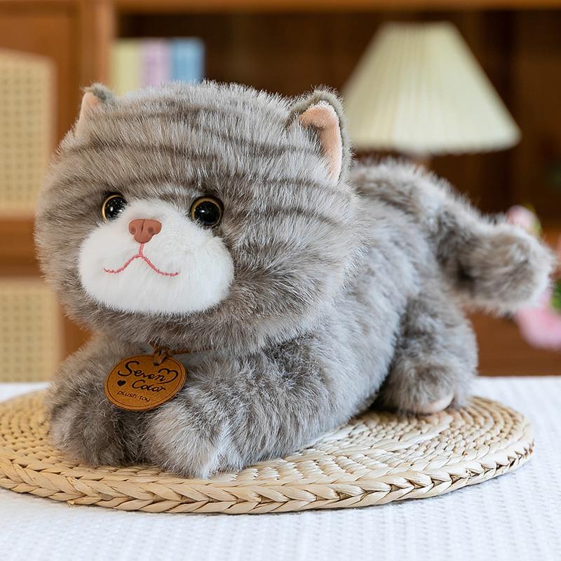 Cute Cat Plush Toys Cartoon Girl Children Bedroom Decoration Dolls Presents
