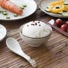 Ceramic Dinnerware Collection