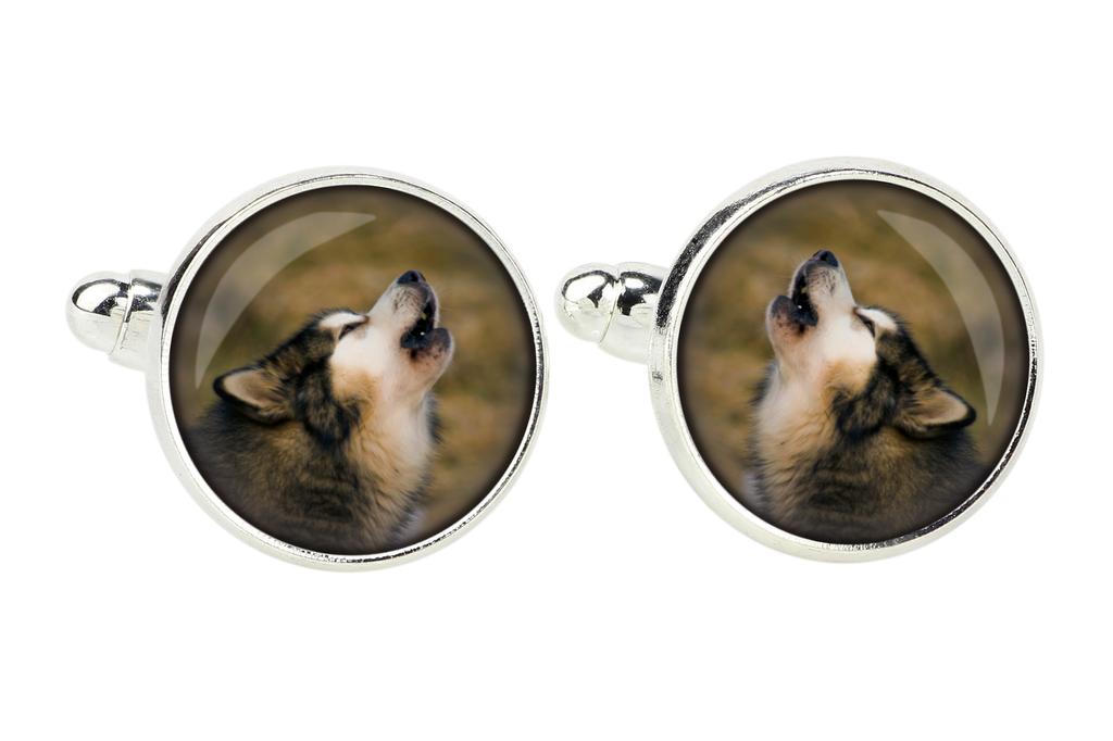 Alaskan Malamute - cufflinks in a box, handmade jewelry, product of the Art-Dog brand
