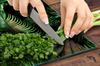 GLASS CUTTING BOARD 45x52 Leaf