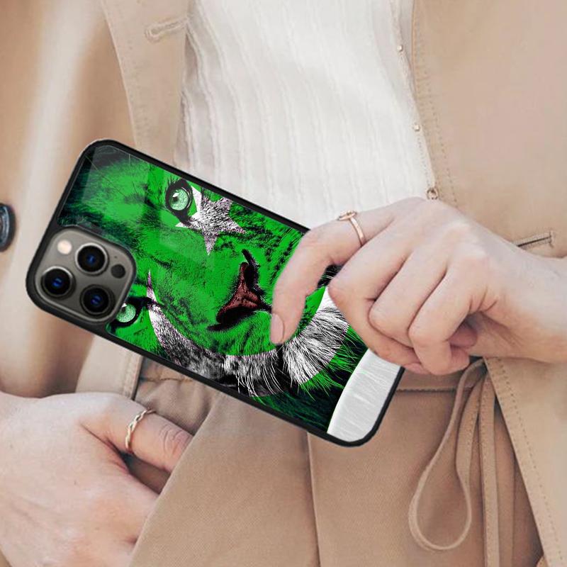 Баннер Флаг Пакистана Магнитный Чехол для Телефона Для APPLE iPhone 17 Air 16 14 13 12 Pro Max 15 Plus Беспроводная Зарядка С Чехлом MagSafe