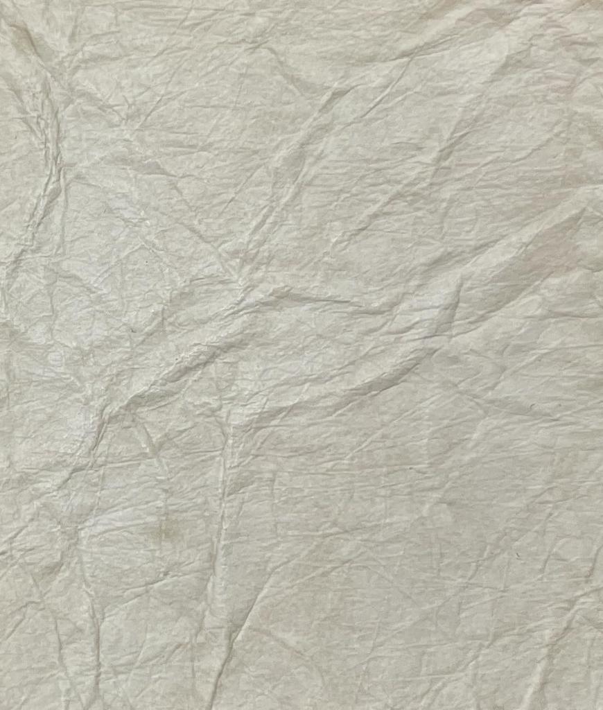 LOONLOON 665 Paper Pencil Large Made with Washi Paper Case, White, Capacity, Two-Story Design, Multifunctional, Stylish,