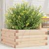 VidaXL Planter 50x50x23 Cm Solid Pine Wood, Outdoor Planter, Flower Box, Plant Box, Planter of 847183