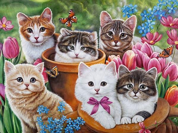DIY алмазная живопись кошка полная круглая алмазная мозаика животное вышивка крестиком картина из стразов Настенный декор