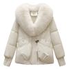 Winter Large Fur Collar Fashionable and Versatile Women's Short Thick Warm Windproof Jacket