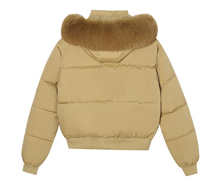 Женская зимняя мода 2025 года Короткая куртка с хлопковой подкладкой - Утепленное пальто с альтернативным пуху наполнителем