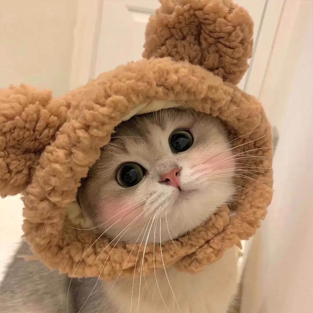 Украшение для питомца головной убор плюшевый щенок собака кошка милее чем медведь фото головной убор смешной