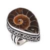 Natural Ammonite Fossil Gemstone 925 Sterling Silver Jewelry Ring Size 8 S2S48
