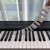 88 Key Full Size Piano Notes Guide Strip for Beginner Silicone Removable Reusable Piano Keyboard Note Labels No Sticky for Practices Learning MYY