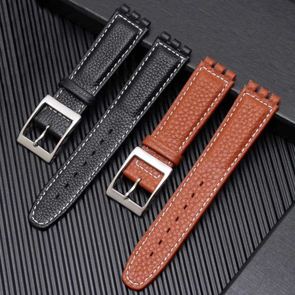 ZHUOLEI Swatch Watch Includes 3 Spring Spring Bar and Box Strap, 17mm/19mm, Bars, Remover,