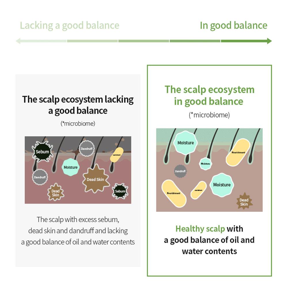 Masil 5 Probiotics Apple Cider Vinegar Shampoo 1Pack(0.3floz X 20ea) Travel Portable Reduces Itchy Scalp Dandruff Frizz Restores