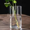 Transparent Glass Hydroponic Vase Modern Small Cylinder Flower Centerpiece Vases Use for Floral Wedding Home Decoration