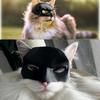 Cat Bat Cosplay Hat, 2025 New Bat Mask for Cat, Batcat Mask, Cute Cat bat Cosplay hat Funny Bat Cat Avenger Mask, Halloween Costumes Accessories for