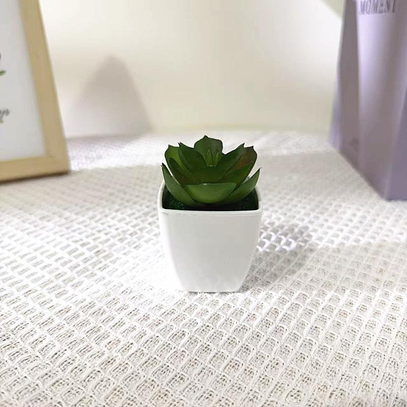 Faux Cactus Arrangements, Small Imitation Foliage in White Square Planter for House Ornament, Wedding Trim, Back-to-School Prese