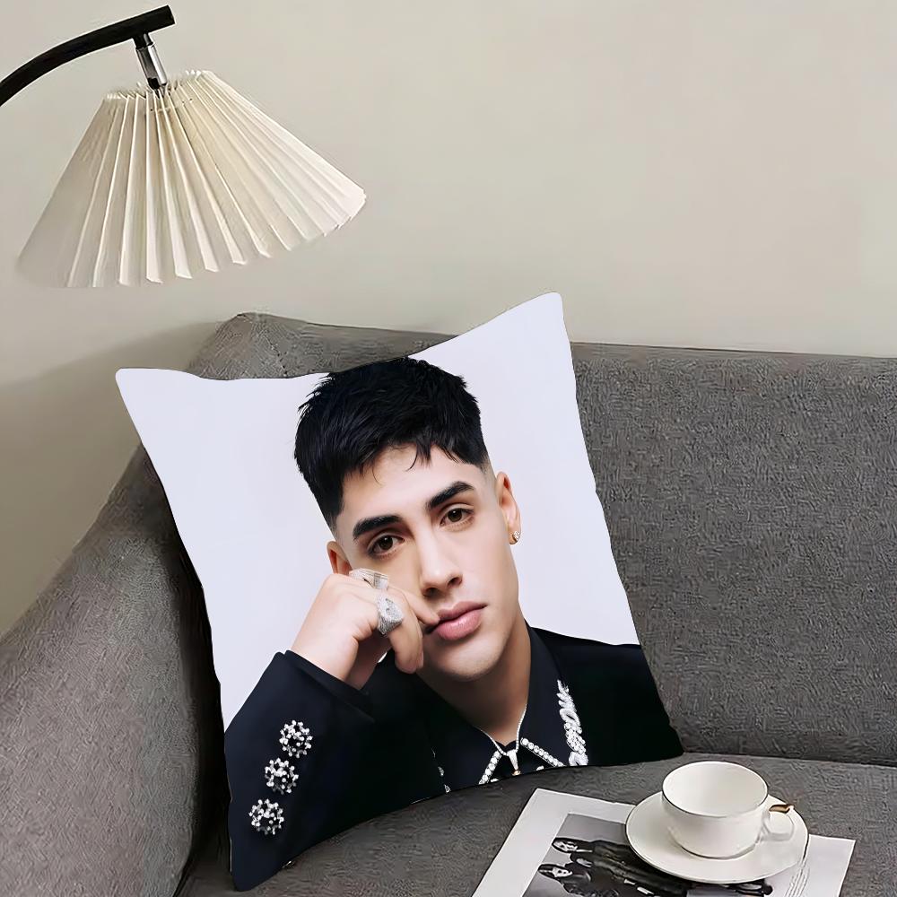 CCris MMj Singer Cushion Cover Pillowcase Ultra Soft Skin Friendly Fabric Cloud Like Comfort Concealed Zipper