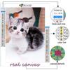 Полный 5D Diy Алмазная картина Милые маленькие животные Кошка, собака, Панда 5D Алмазная картина