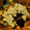 1 Pcs Solar String Lights Outdoor Crystal Ball Light Waterproof Solar Lantern Fairy Lights
