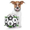 Dog Toys PU Soccer Ball Bite Resistance Interactive Outdoor Indoor Pet Toy