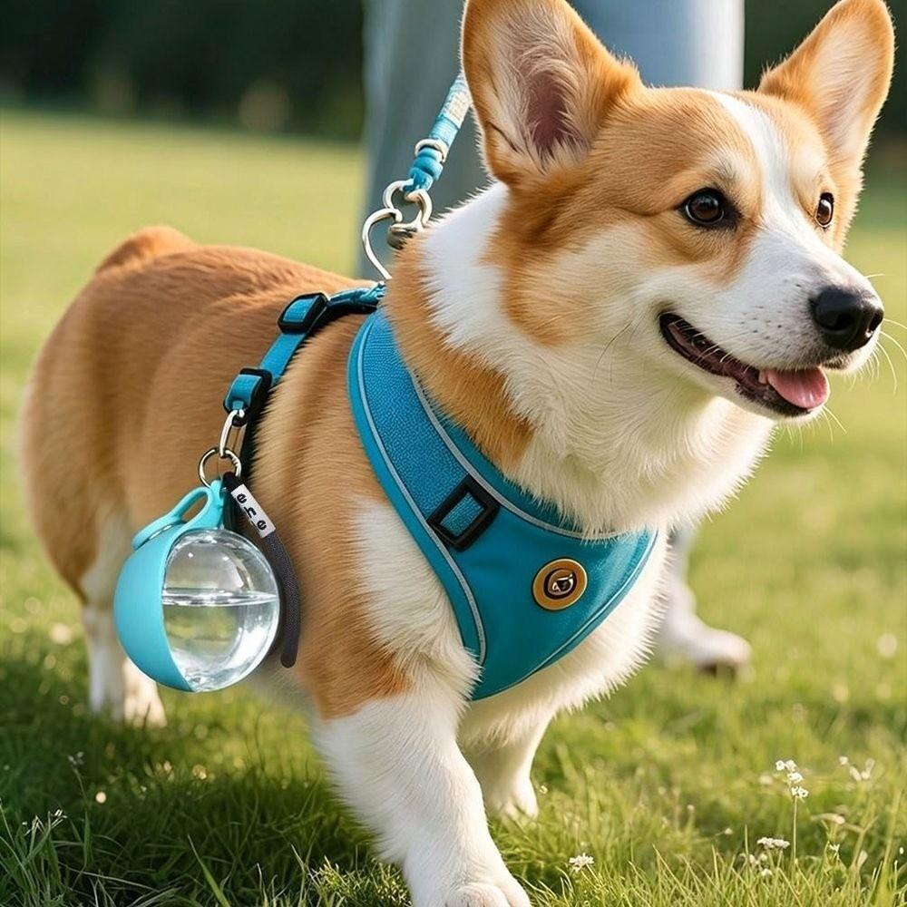 Leak-Proof Pet Water Bottle Reusable Portable Drinking Bottle Dog Water Dispenser Pet Walking