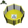 Freestanding Octagon MMA Boxing Cage