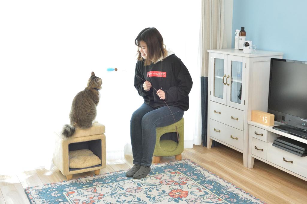 Azumaya Pet Stool PET-61GR