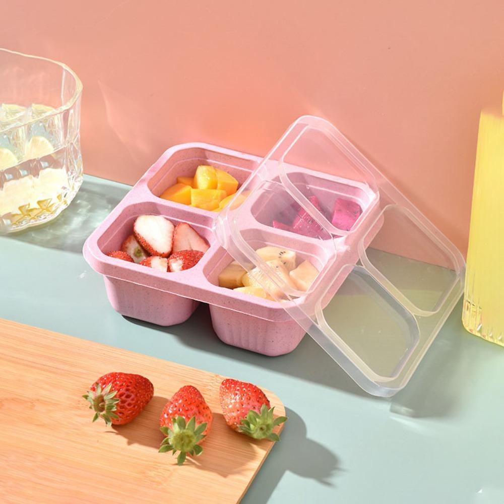 with Cover Fruit Plate Four Grid Snack Containers Reusable Candy Box  Travel