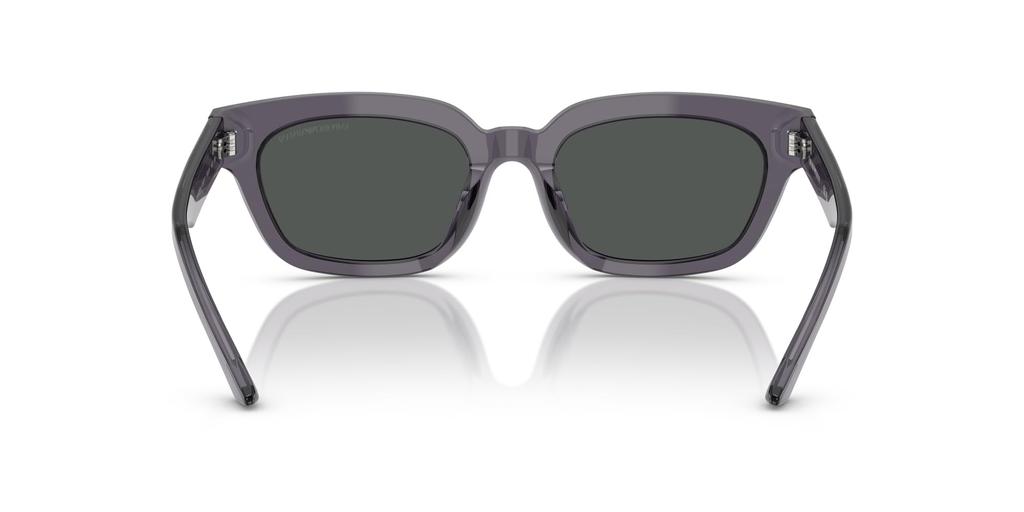 Солнцезащитные очки 0EA4233U ПРОЗРАЧНО-СЕРЫЙ 53 [Emporio Armani]