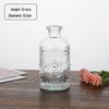 Small French Retro Glass Hydroponic Vase for Home Decor