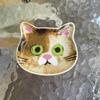 1PC Mini Serving Dishes Kitchen Cat Face Ceramic Dish Perfect Housewarming Gift Snack Plates Cute Spoon Holder Adorable