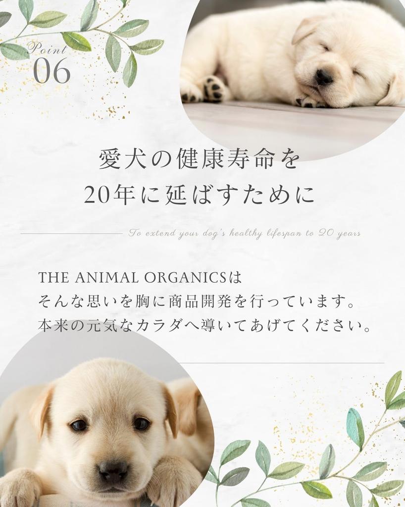 Зубная паста для собак и кошек просто предотвращает пародонтоз 30 г x стоимость оптовой покупки, сделанная в плохом геле для ухода за полостью рта домашних животных THE ANIMAL ORGANICS Pet oral animal