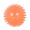 Sound Thorn Bite-Resistant Dog Ball: Elastic, Durable, Interactive TPR Pet Toy