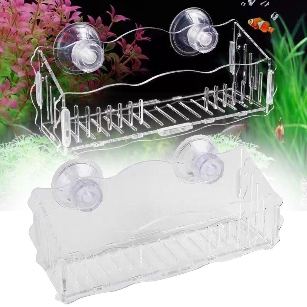 Suction Cup Mount Aquatic Plant Cup Acrylic Fish Tank Plant Holder Aquarium Decor