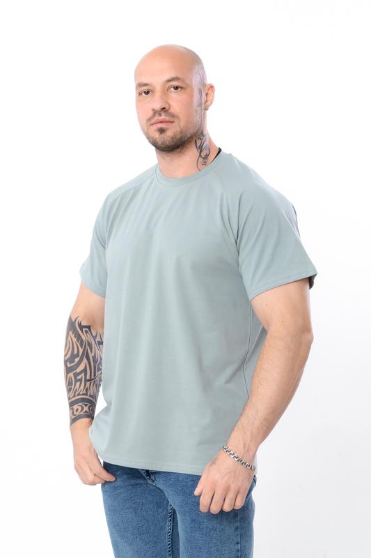 Футболка (Мужской) Лето 8011-036 HC