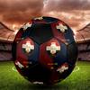 РАЗМЕР 5 Футбольный мяч Willem II Цветной Для всех возрастов Машинная строчка ПВХ Готов к соревнованиям Прочный Высокий отскок