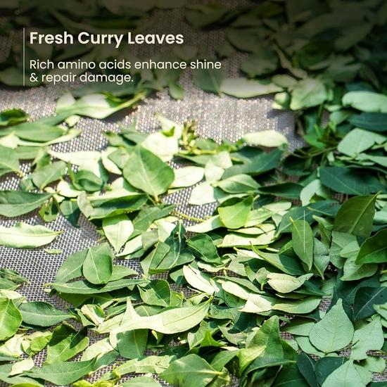 Nat Habit Nutri-Conditioner, Curry Cider For Dry & Frizzy Hair, Deep Shine & Smoothness with 9 Ultra-Moisturizing Power Conditioners, 150ml