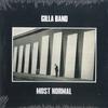 LP Пластинка GILLA BAND - Most Normal RT0358LP Rough Trade 2022 US Рок