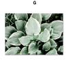 White Tulip Succulents Monstera Plant Wall Art Canvas Painting Nordic Posters And Prints Wall Pictures For Living Room Decor