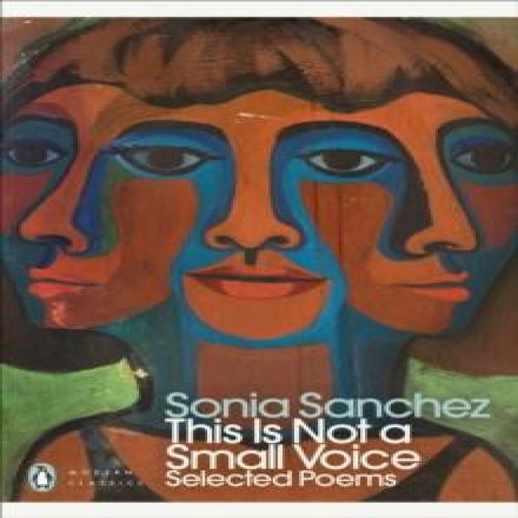 This Is Not a Small Voice by Sonia Sanchez Paperback Book 9780241756041