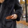 Жуткая палочка Сенсорная игрушка Хэллоуин Сжималка для снятия стресса, Игрушка-фигурка, Игрушки для снятия напряжения Медленно поднимающаяся палочка Фиджет Подарки на вечеринку Взрослые Дети Праздник