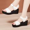6 см Маленький размер 32-43 Удобные средние каблуки Тапочки-клинья Туфли на платформе Лето 2025 На все случаи жизни Сандалии из мягкой кожи Офис Мама