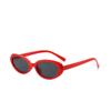 Oval Frame Fashion Sunglasses Unisex UV400 Protection Trendy Sunglasses Retro Stylish Sun Glasses 5246