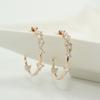 Silver Needle Ring Cubic Rose Gold Earrings - Rose Gold 92.5 Silver Needle