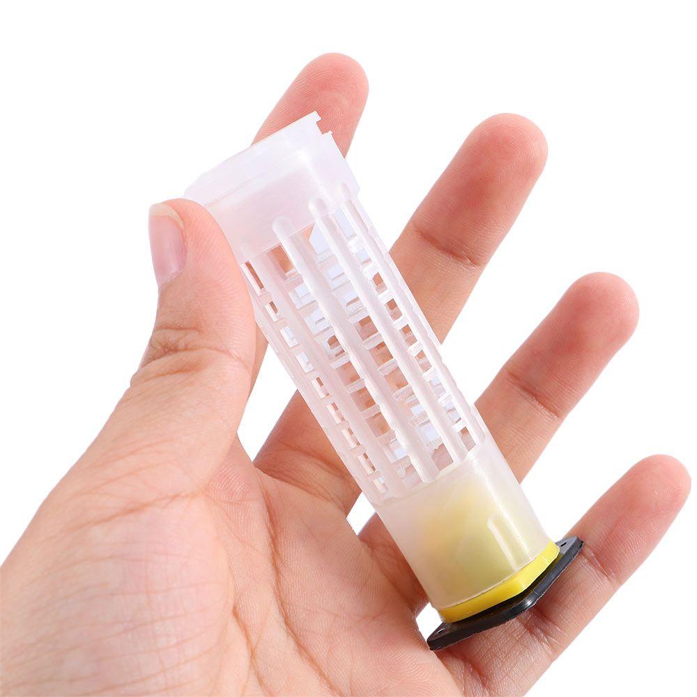 Plastic 50Pcs King Bee Holder Box Tool Protective Cover Rearing Cup Bee Queen Cage Bees Rearing
