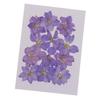 Pressed Dried Flowers Natural Dried Flowers for Candle and Soap Making Mini Dried Flower Bouquet for DIY Decorations