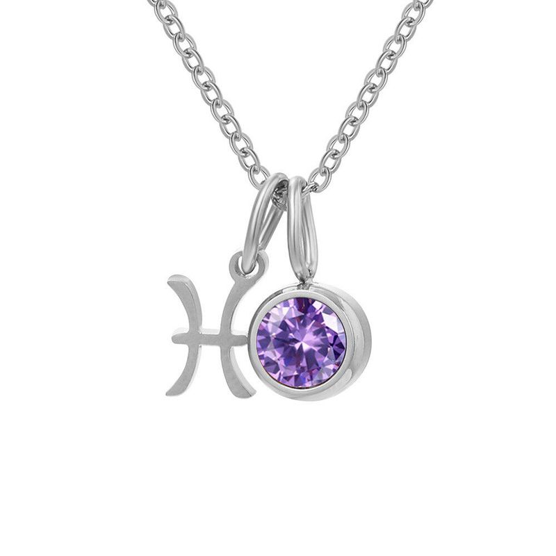 Steel Necklace Female Clavicle Chain Fashion Ins Twelve Constellation with Diamond Light Luxury Minority Birthday Stainless Steel Snake Bones Chain