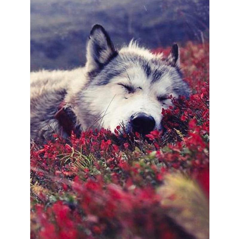Wolf Icefield Wolf Fashion Diamants Набор для рисования 30x30CM Картина