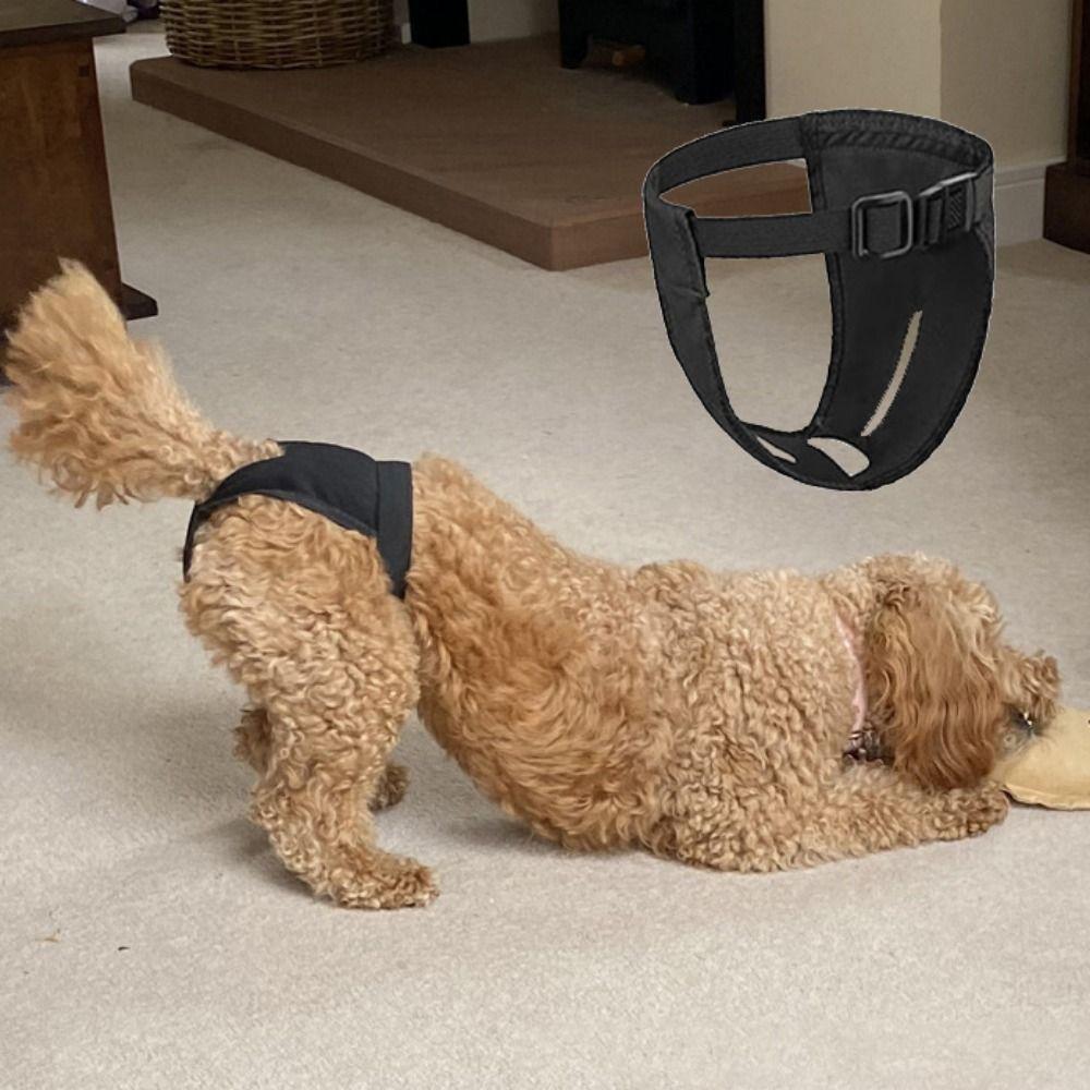 Replaceable Physiological Pants Protective Trousers Dog Sanitary Pantie Female Dog Nappies