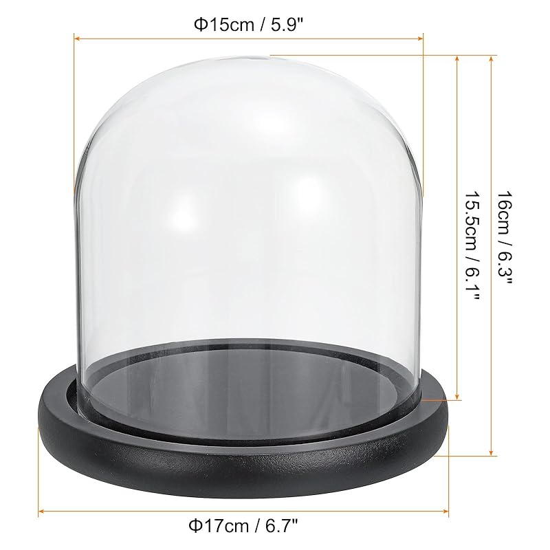 PATIKIL 15.5 x 15 cm clear cloche glass dome glass bell jar display case tabletop centerpiece With black wooden base for christmas interior decoration