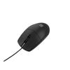 Souris - NATEC - RUFF PLUS - Noir - Optique - Sans fil