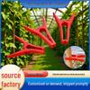 Windproof Vine Support Clip for Winter Melon & Bitter Melon Branches